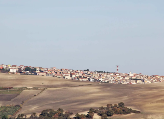 Vista