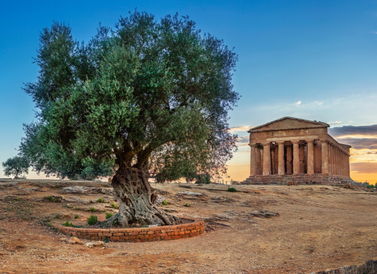 Valle dei templi