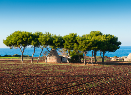 Puglia