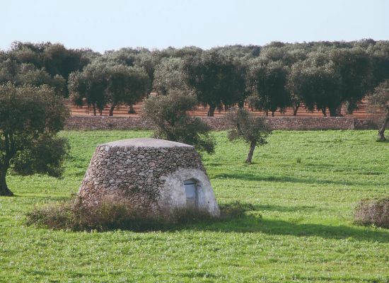 Trepuzzi - Lecce